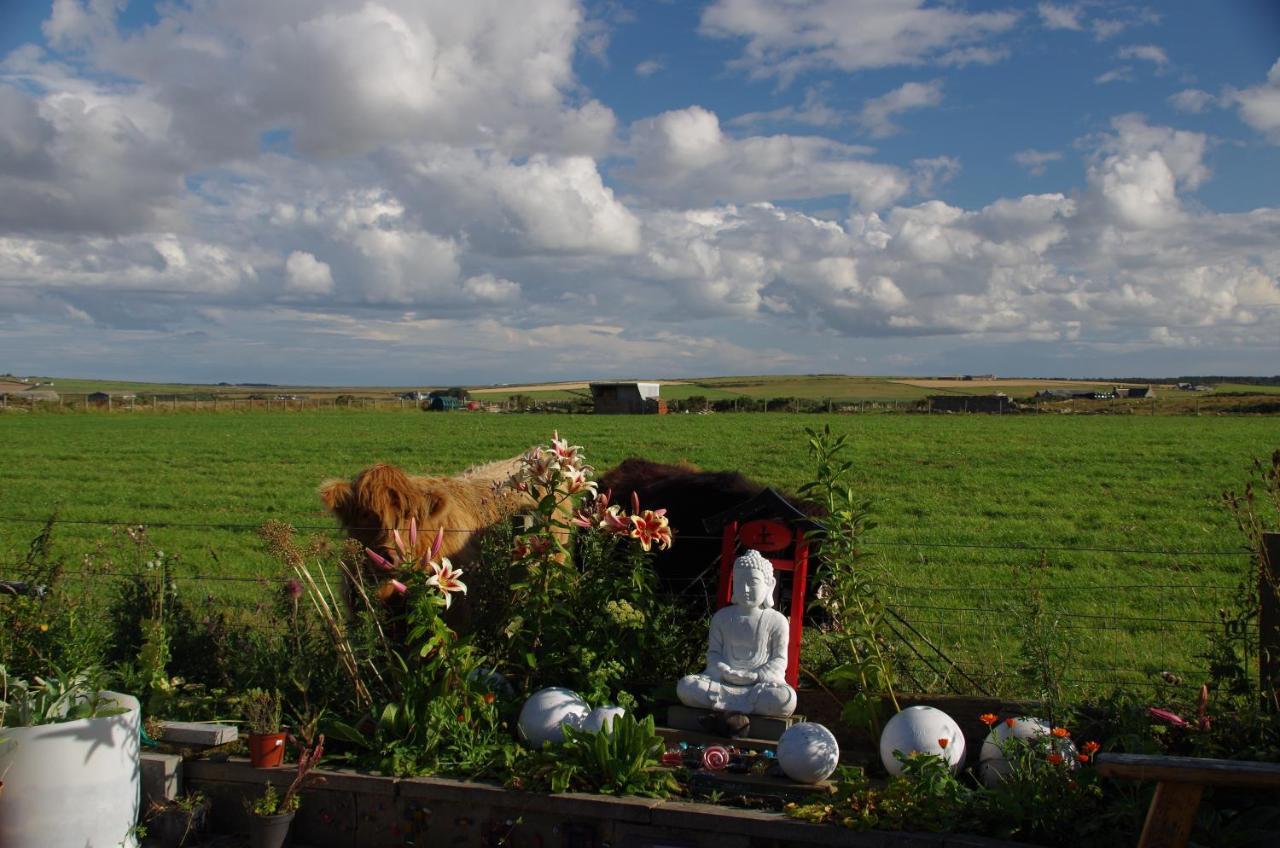 Bed and Breakfast Carrig Lios à Thurso Extérieur photo
